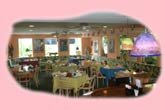 Camille's Florida Room